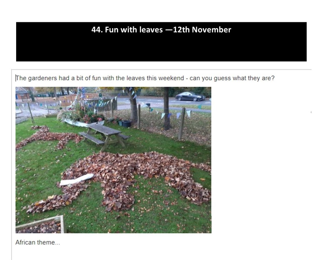 Fun with leaves - 12th November